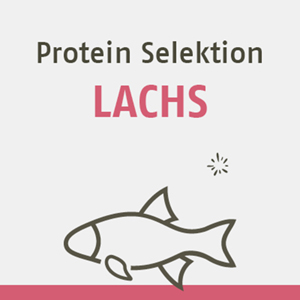 Protein Selektion Lachs FR DEN HUND