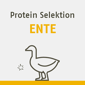 Protein Selektion Ente FR DIE KATZE