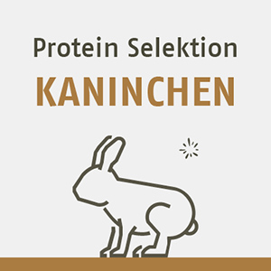 Protein Selektion Kaninchen FR DIE KATZE