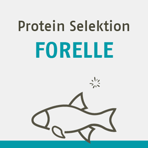 Protein Selektion Forelle FR DEN HUND