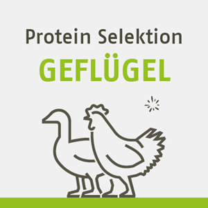 Protein Selektion Geflgel FR DEN HUND