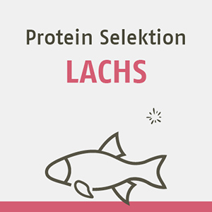 Protein Selektion Lachs FR DIE KATZE