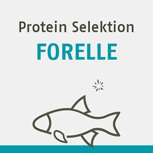 Protein Selektion Forelle FR DIE KATZE