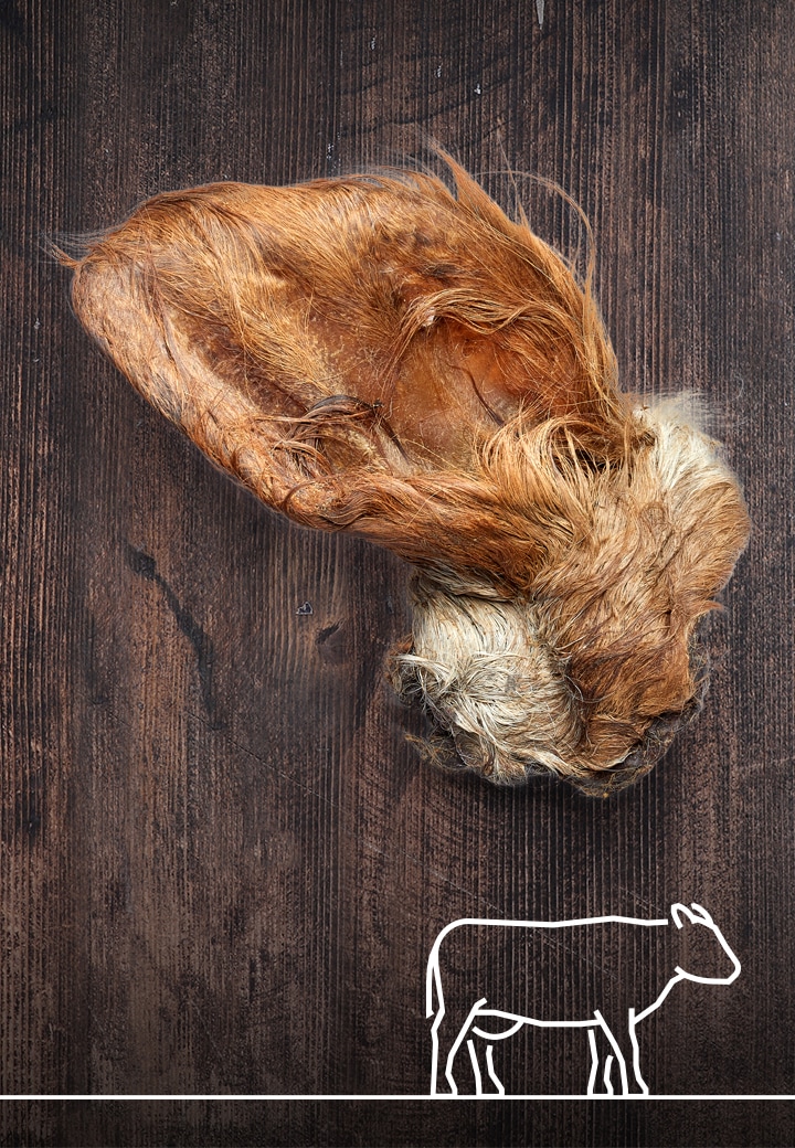 Rinderohren mit Fell, 3 Stk. für den Hund von VetConcept